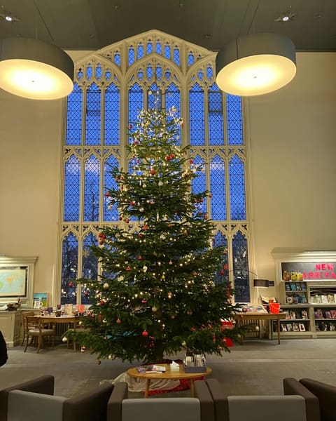A large decorated display Christmas tree in a school hall in front of a tall Gothic window
