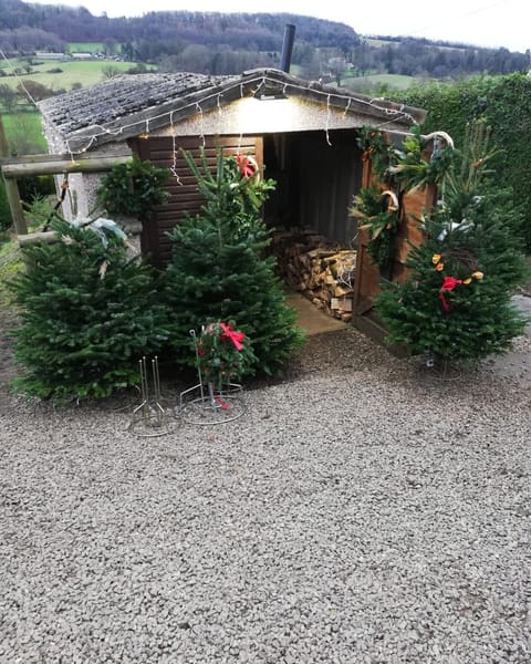 The Pitchcombe Fresh hut decorated with wreaths and lights, the valley behind