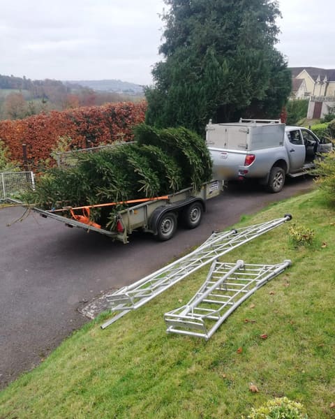 Cut Christmas trees on the trailer behind the pickup, above the valley